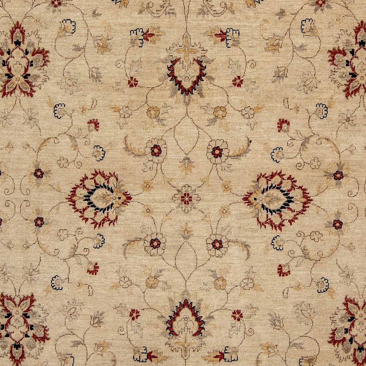 Ziegler Rug - 301 x 249 cm - beige