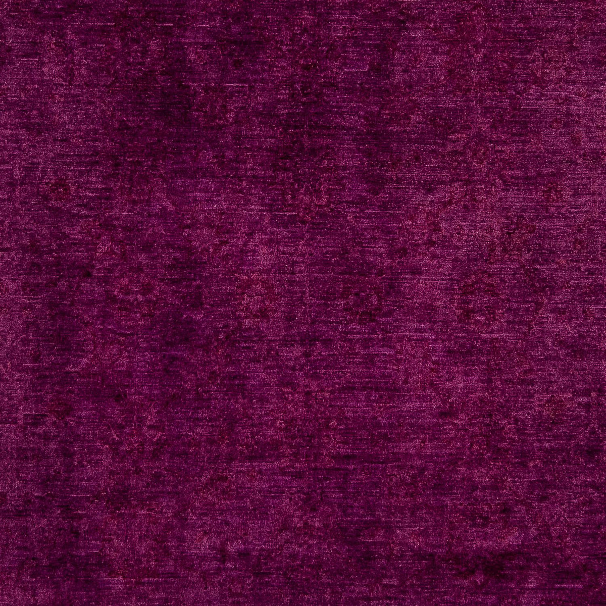 Ziegler Rug - 379 x 263 cm - purple