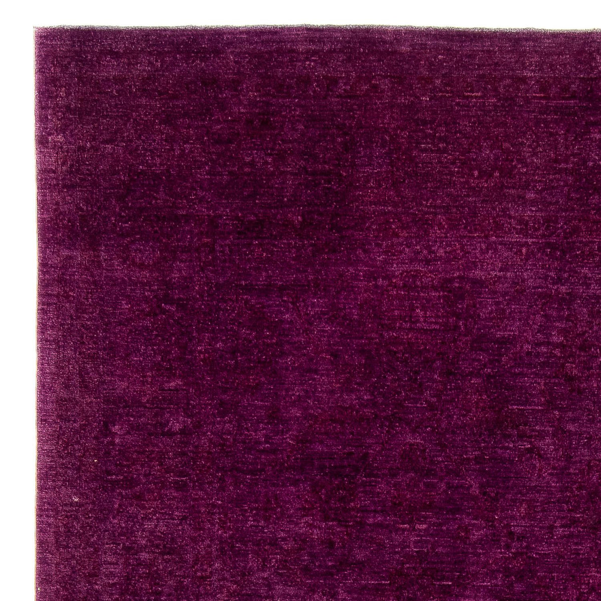 Ziegler Rug - 379 x 263 cm - purple