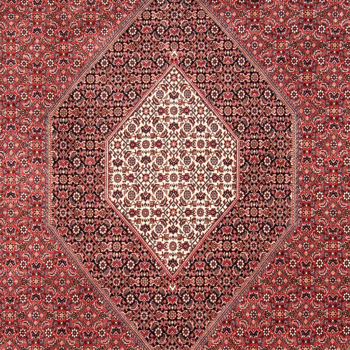 Perser Rug - Bidjar - 310 x 250 cm - red