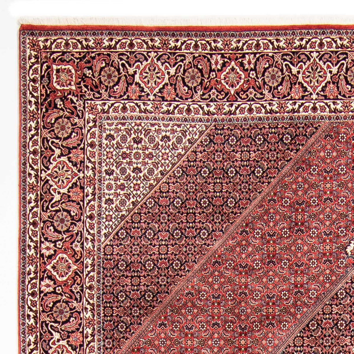 Bidjar Rug 250x310cm - Persian Rugs