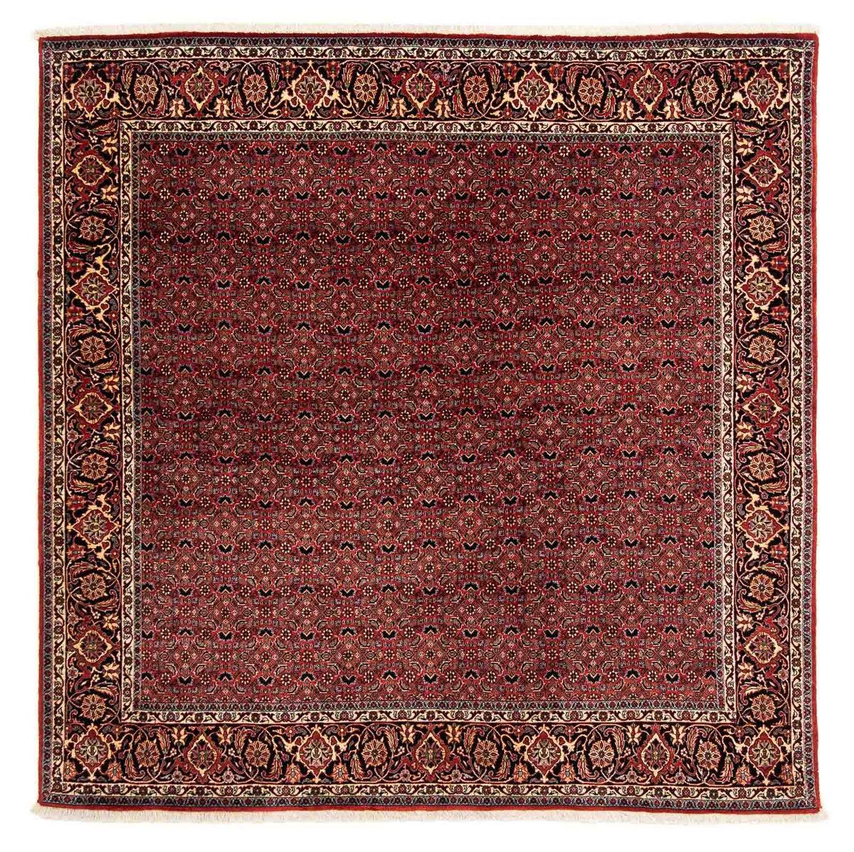 Perser Rug - Bidjar square  - 200 x 197 cm - dark red