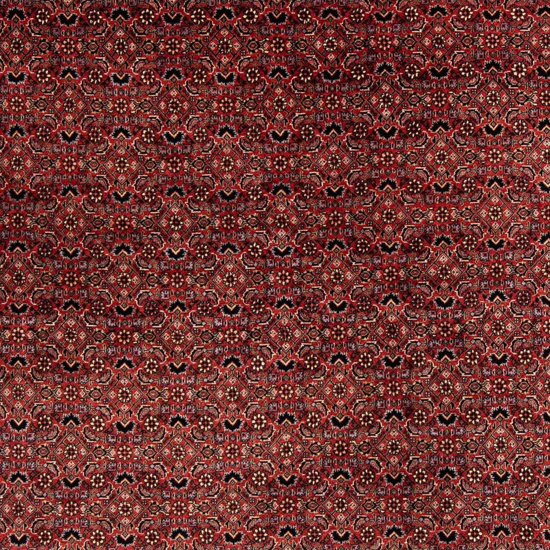 Perser Rug - Bidjar square  - 200 x 197 cm - dark red