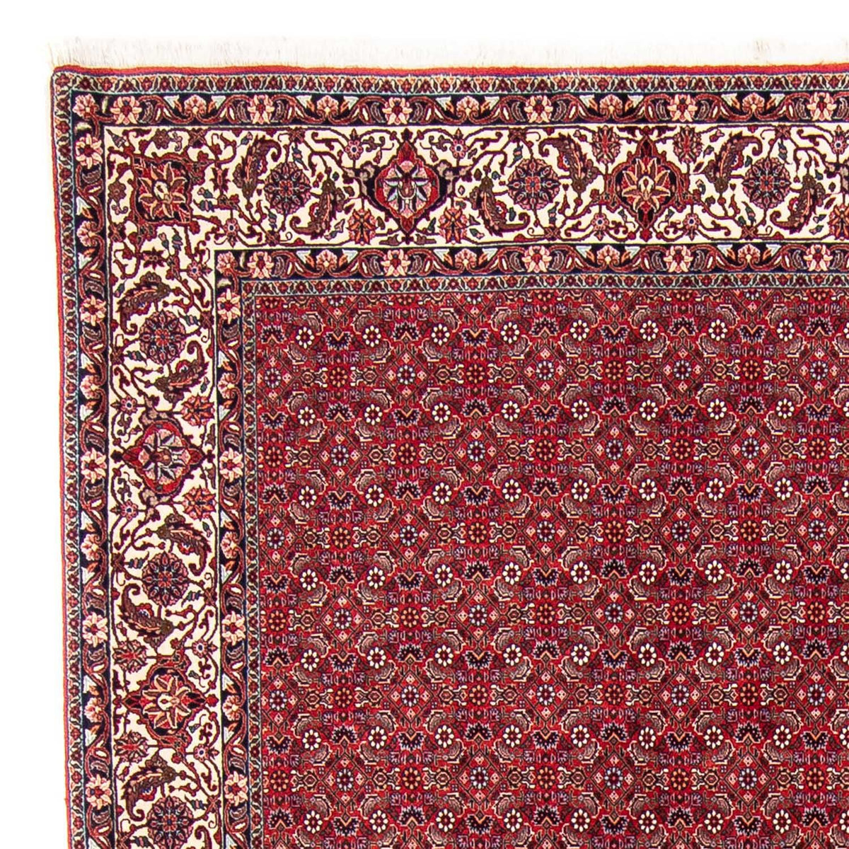 Bidjar Rug 247x297cm - Persian Rugs
