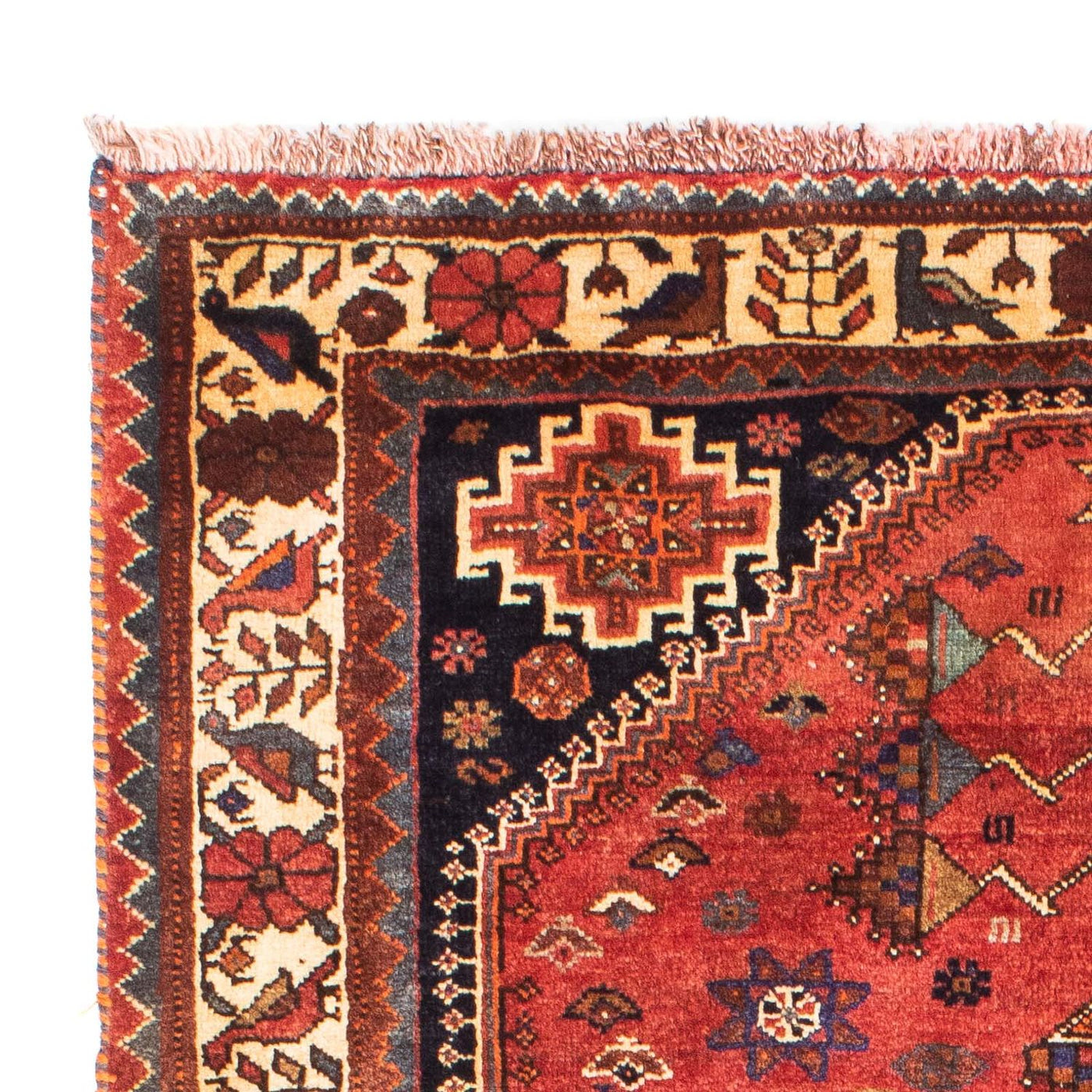 Shiraz Rug 170x118cm - Persian Rugs