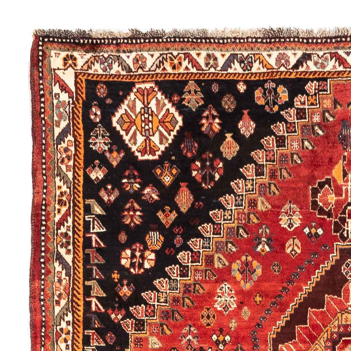 Shiraz Rug 170x255cm - Persian Rugs