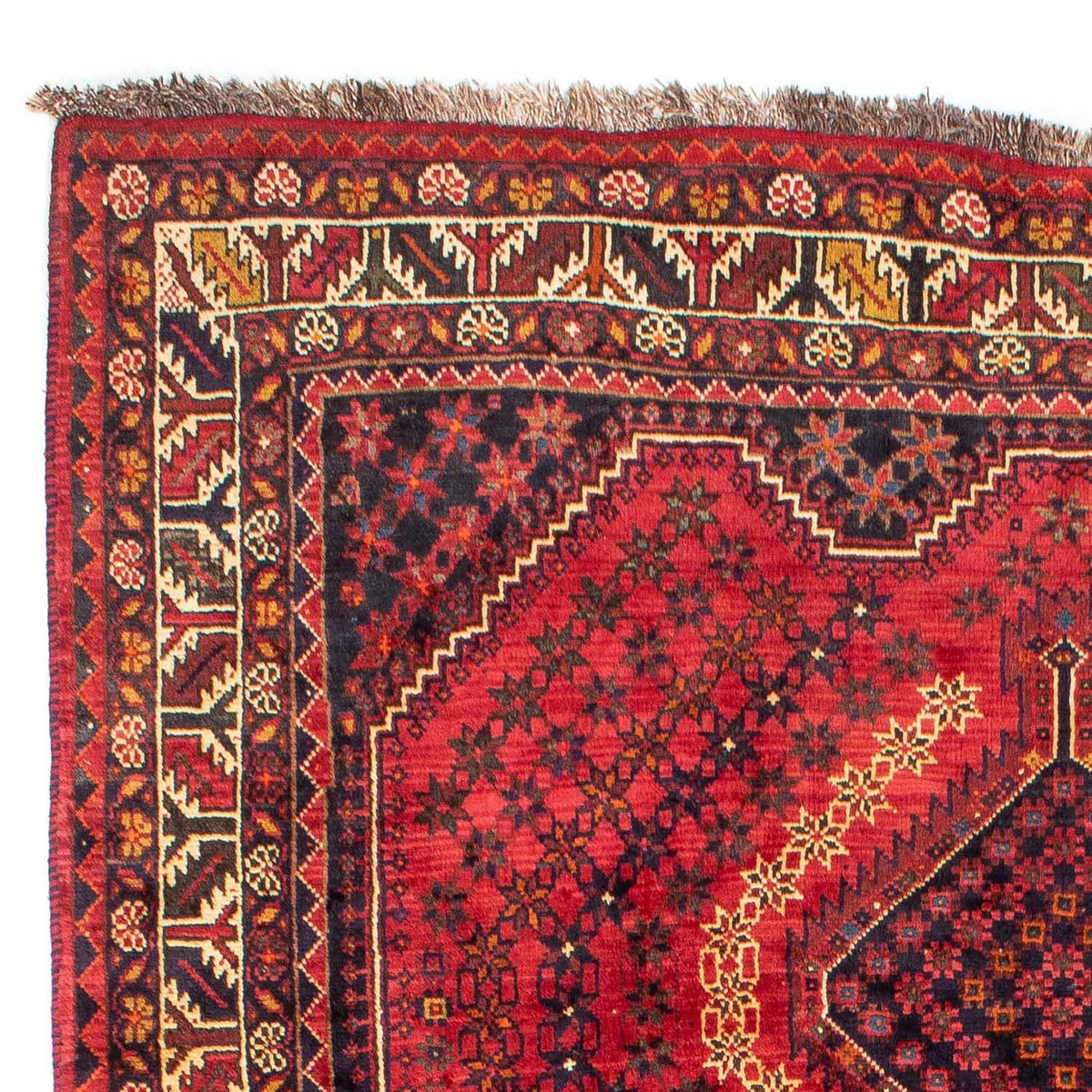 Shiraz Rug 208x298cm - Persian Rugs