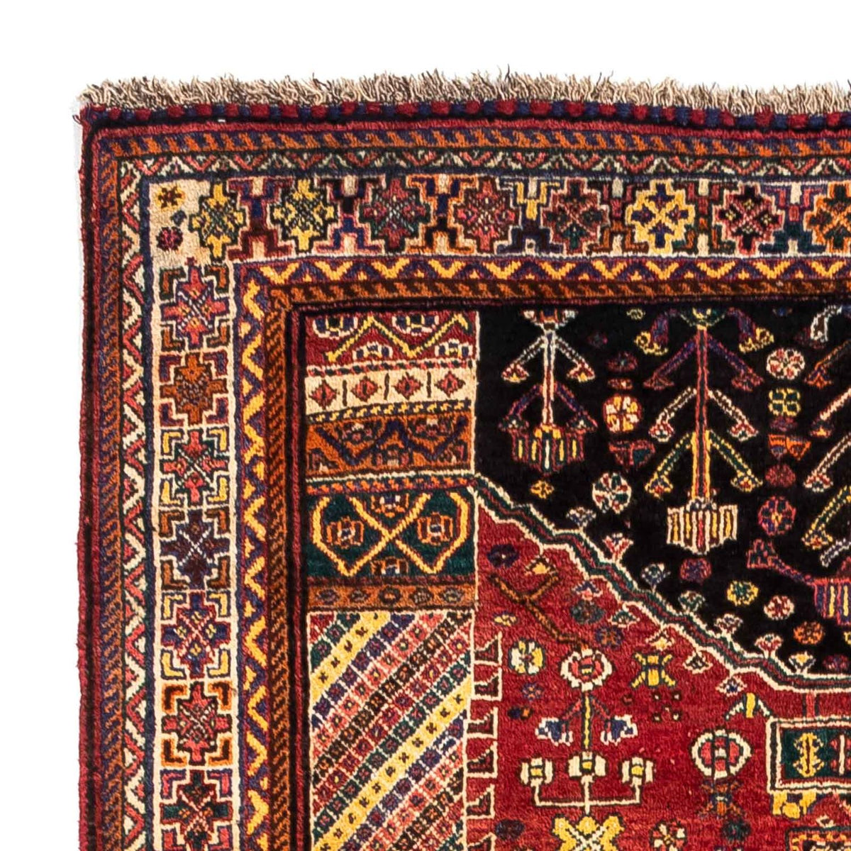 Shiraz Rug 153x250cm - Persian Rugs
