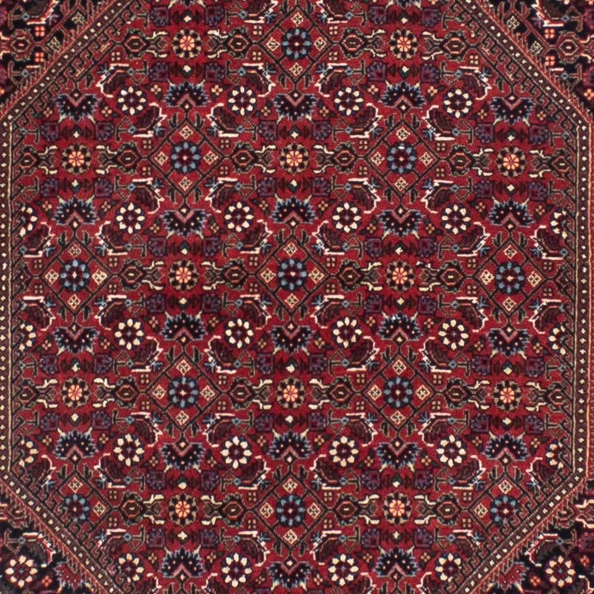 Runner Perser Rug - Bidjar - 306 x 85 cm - rust