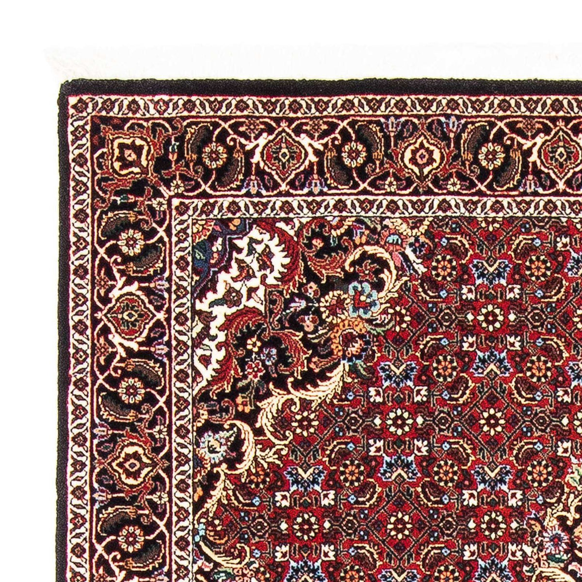Bidjar Rug 109x175cm - Persian Rugs
