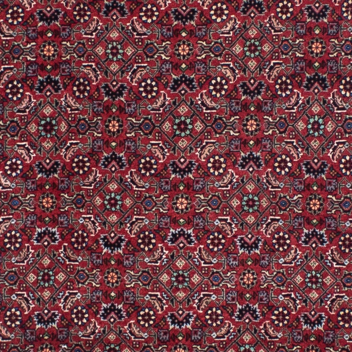 Runner Perser Rug - Bidjar - 295 x 84 cm - dark red