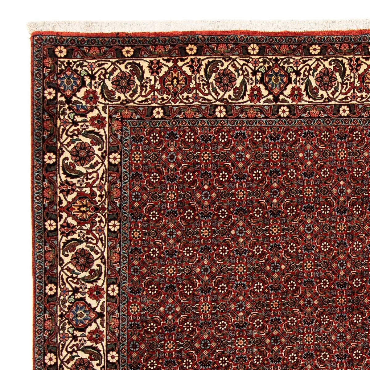 Perser Rug - Bidjar square  - 203 x 197 cm - dark red