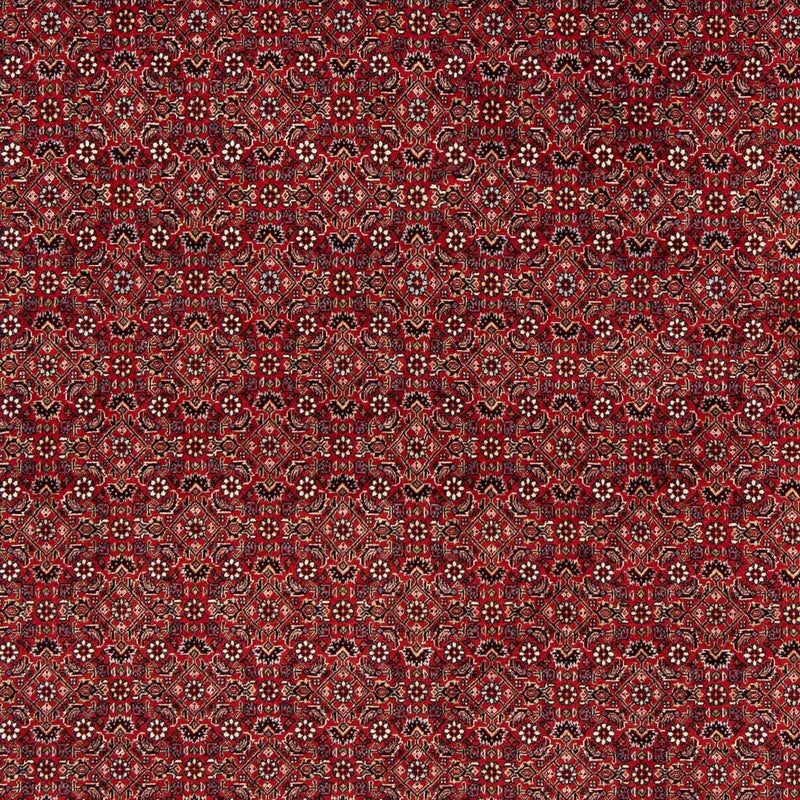 Perser Rug - Bidjar square  - 205 x 205 cm - dark red