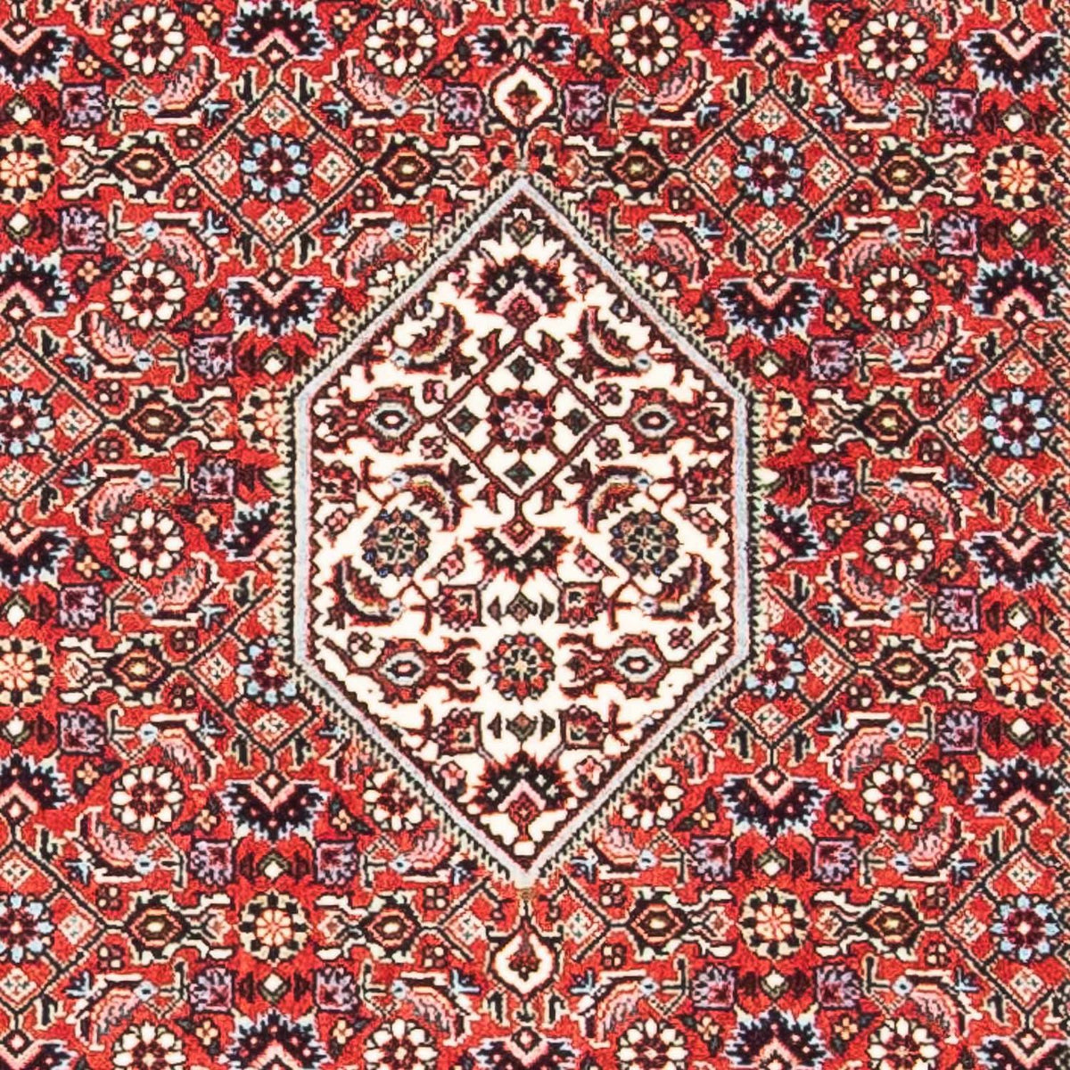 Perser Rug - Bidjar - 140 x 83 cm - red