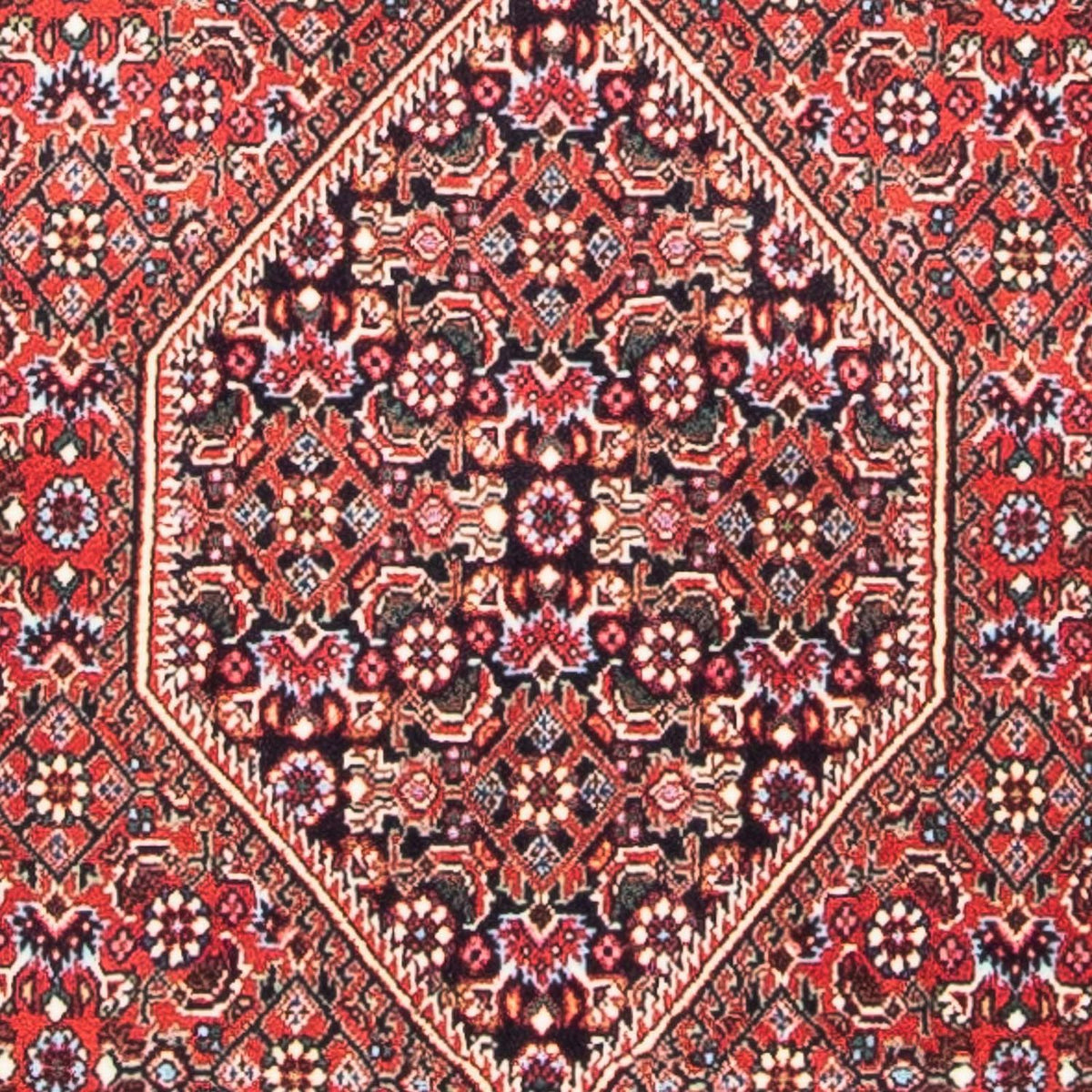 Perser Rug - Bidjar - 142 x 70 cm - red
