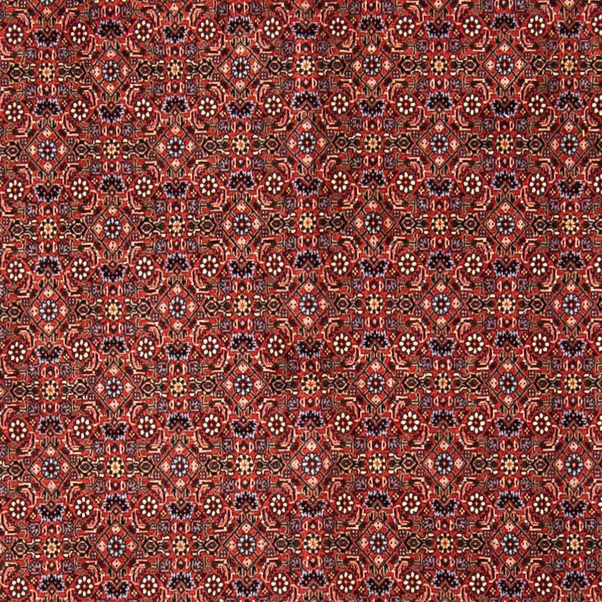 Perser Rug - Bidjar - 308 x 254 cm - dark red