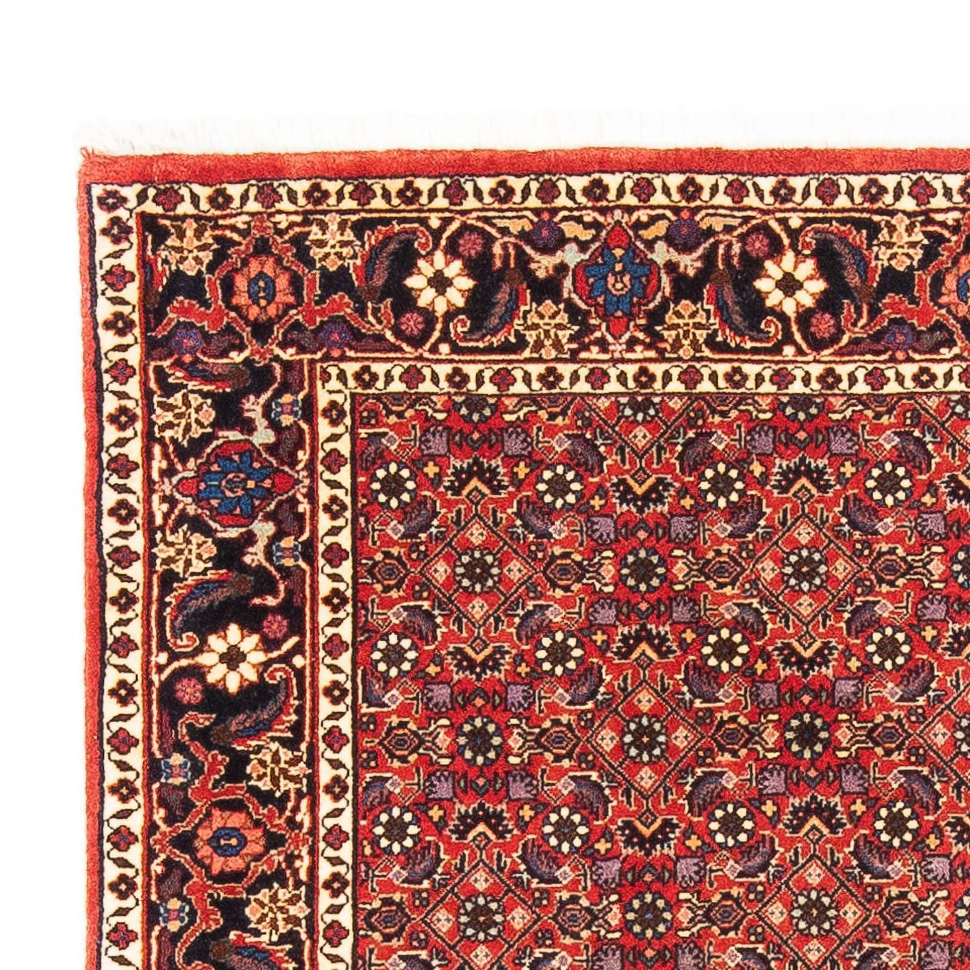 Bidjar Rug 183x114cm - Persian Rugs