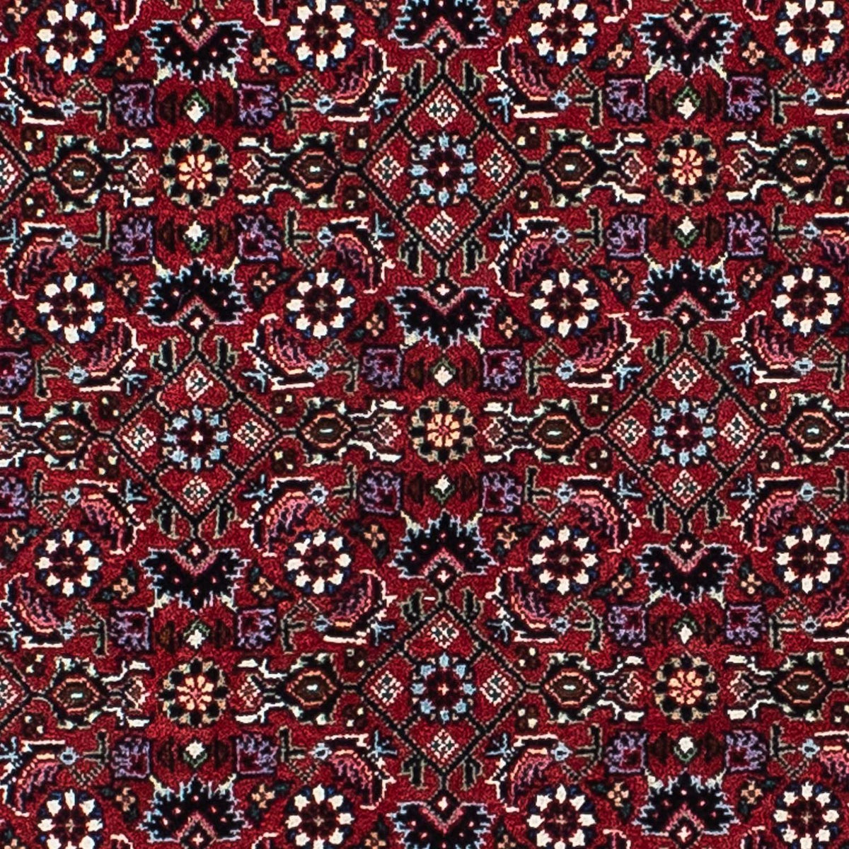 Perser Rug - Bidjar - 214 x 133 cm - dark red