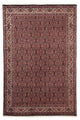 Bidjar Rug 247x168cm - Persian Rugs