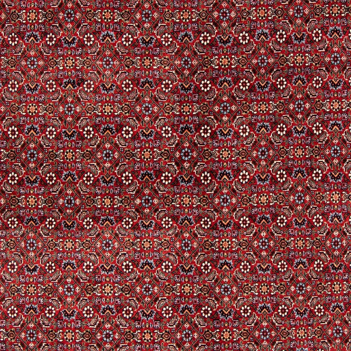 Perser Rug - Bidjar - 231 x 170 cm - dark red