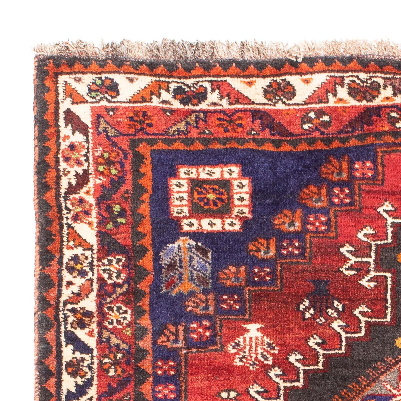 Shiraz Rug 167x116cm - Persian Rugs
