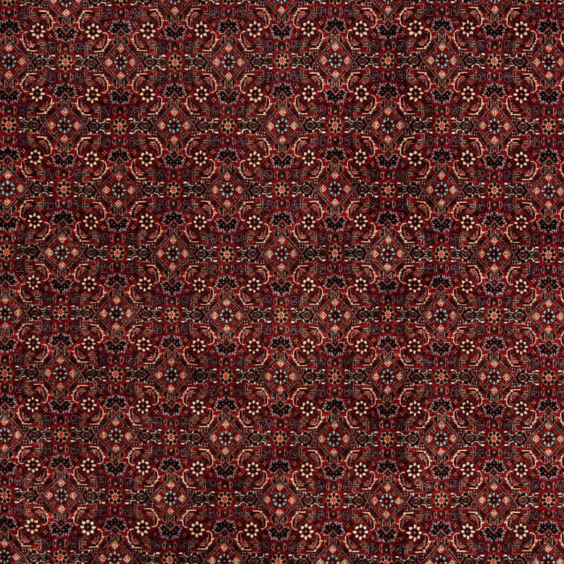 Perser Rug - Bidjar - 254 x 198 cm - dark red