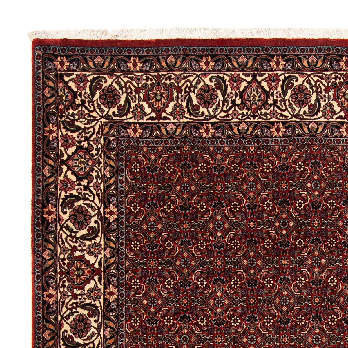 Perser Rug - Bidjar - 254 x 198 cm - dark red