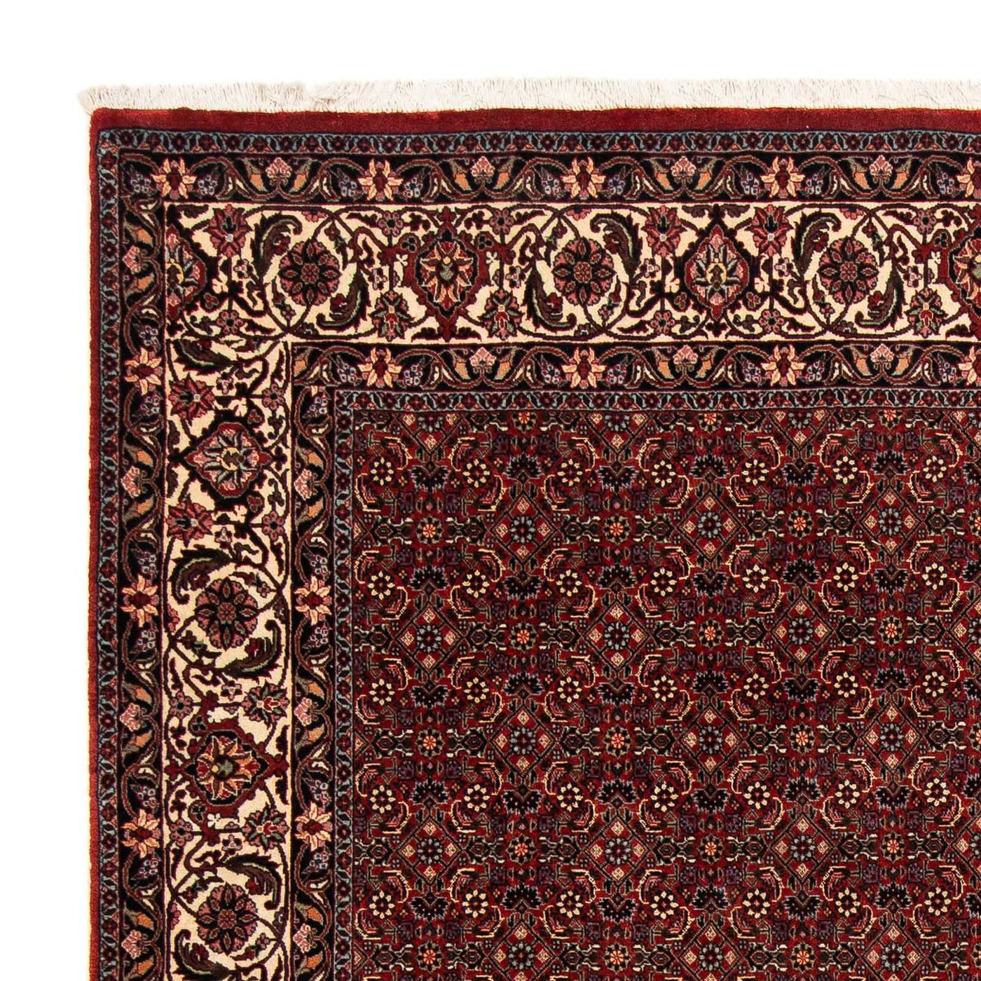 Bidjar Rug 254x198cm - Persian Rugs