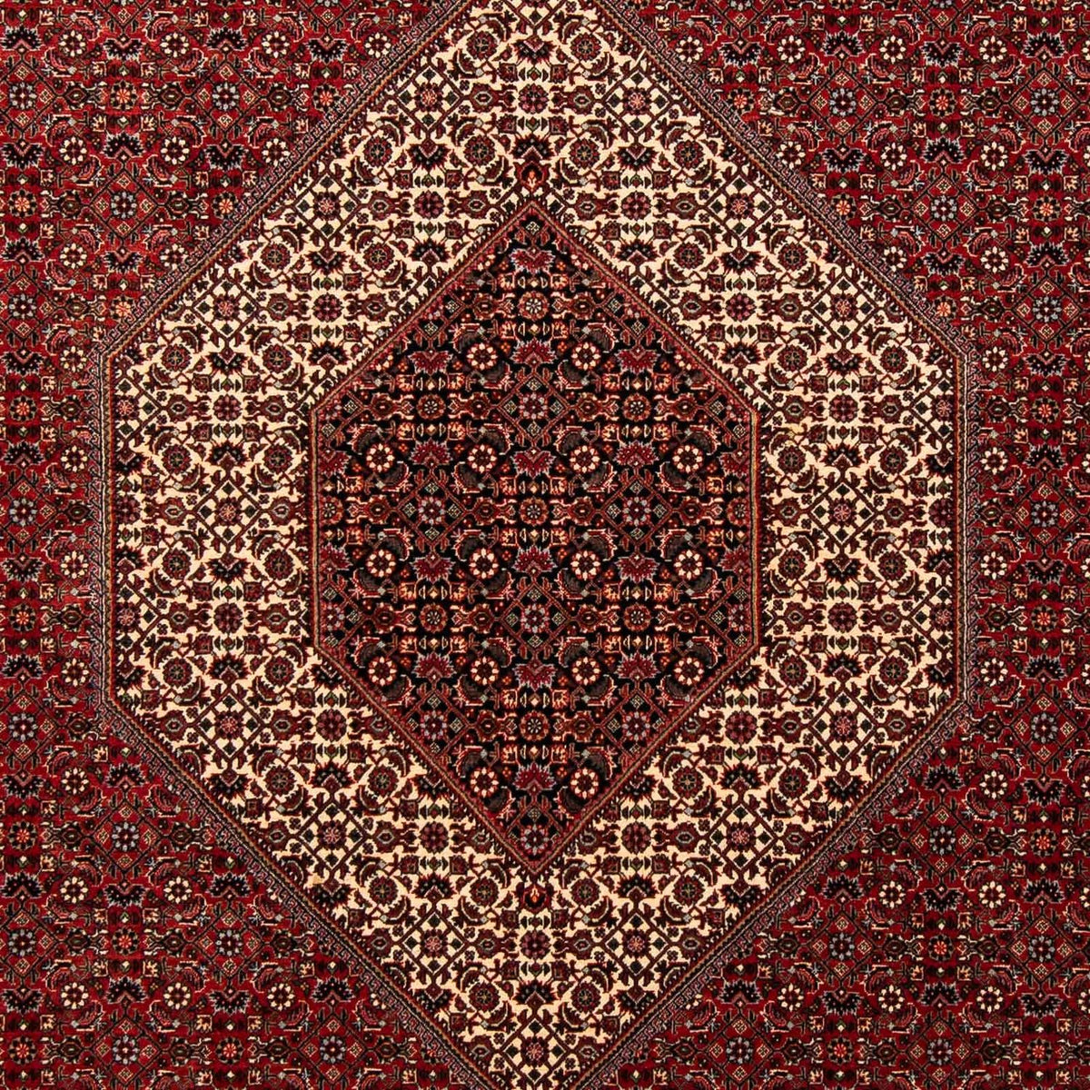 Perser Rug - Bidjar - 253 x 202 cm - dark red
