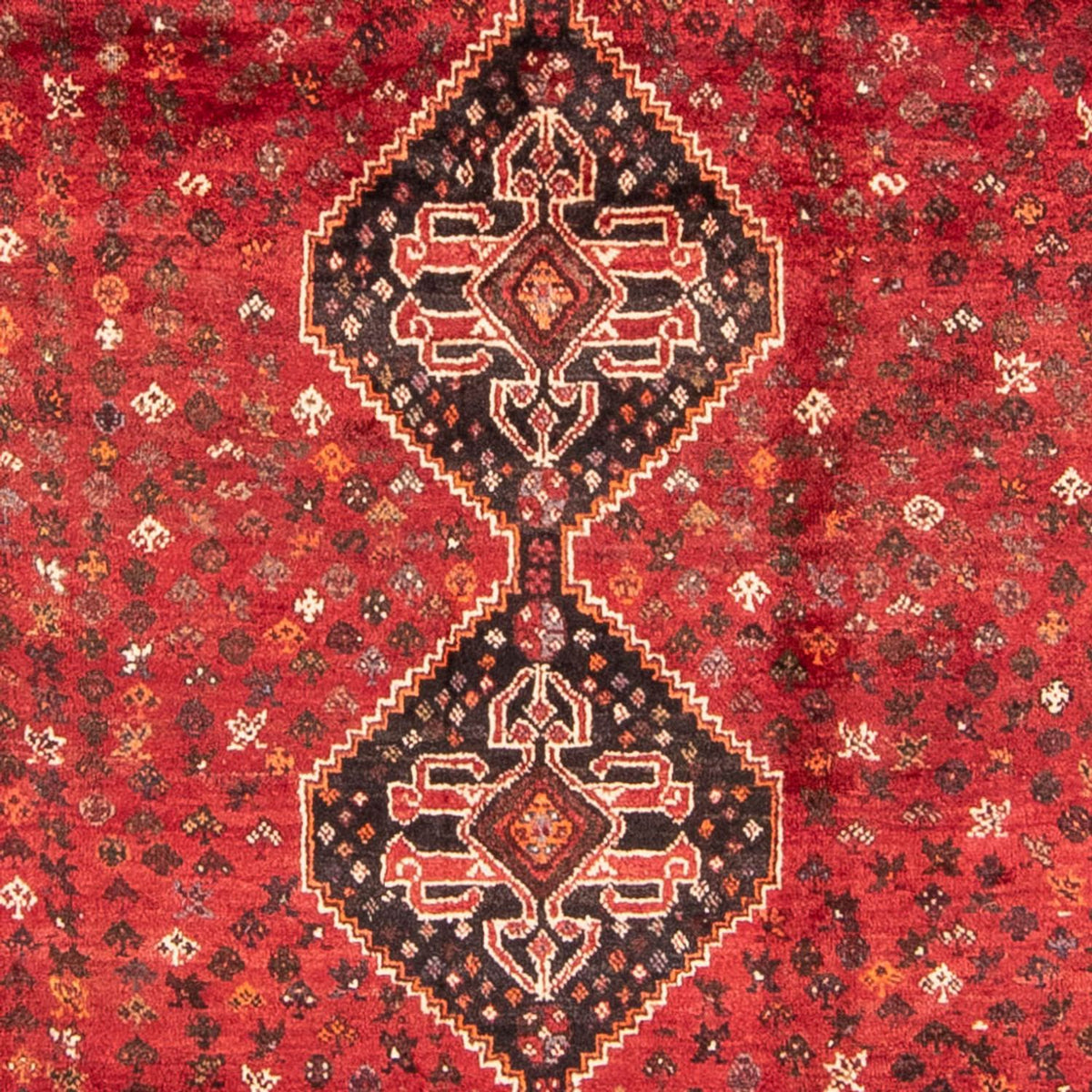 Perser Rug - Nomadic - 310 x 227 cm - dark red