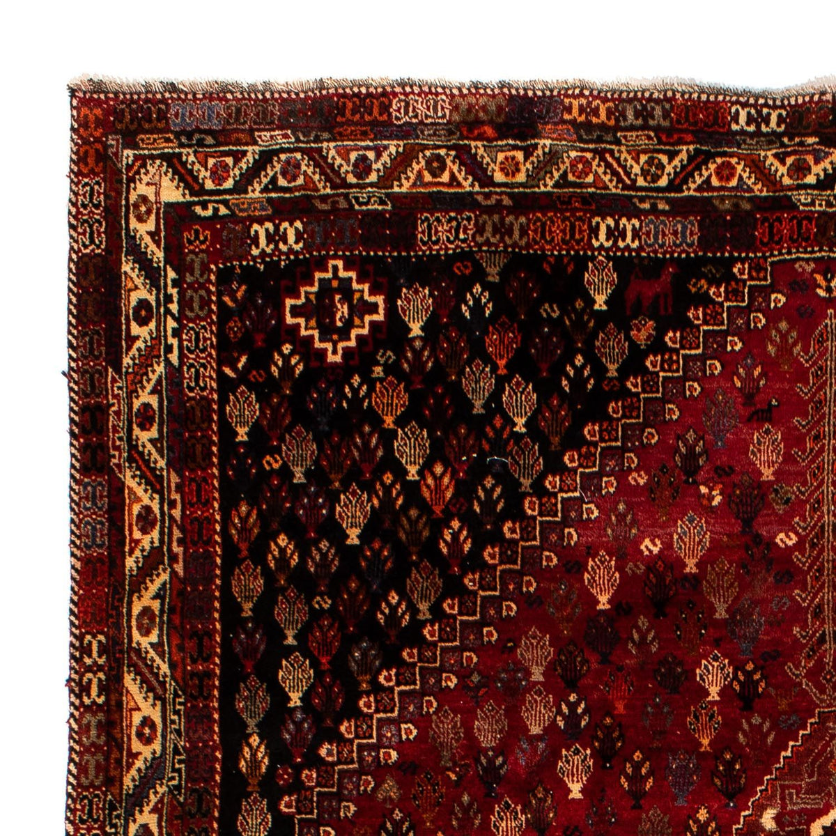 Perser Rug - Nomadic - 315 x 216 cm - dark red
