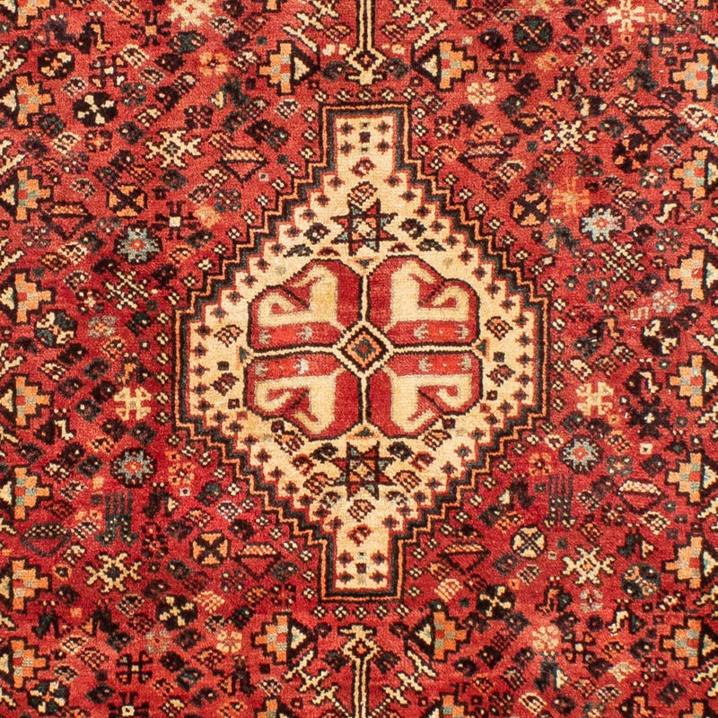 Shiraz Rug 211x300cm - Persian Rugs