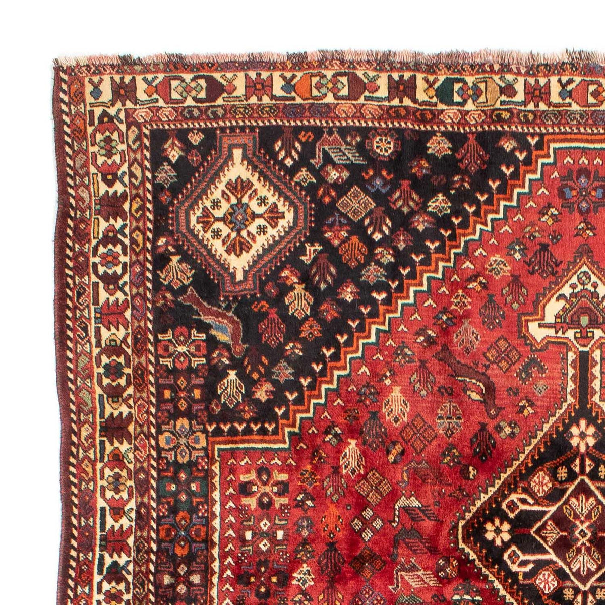 Shiraz Rug 228x330cm - Persian Rugs
