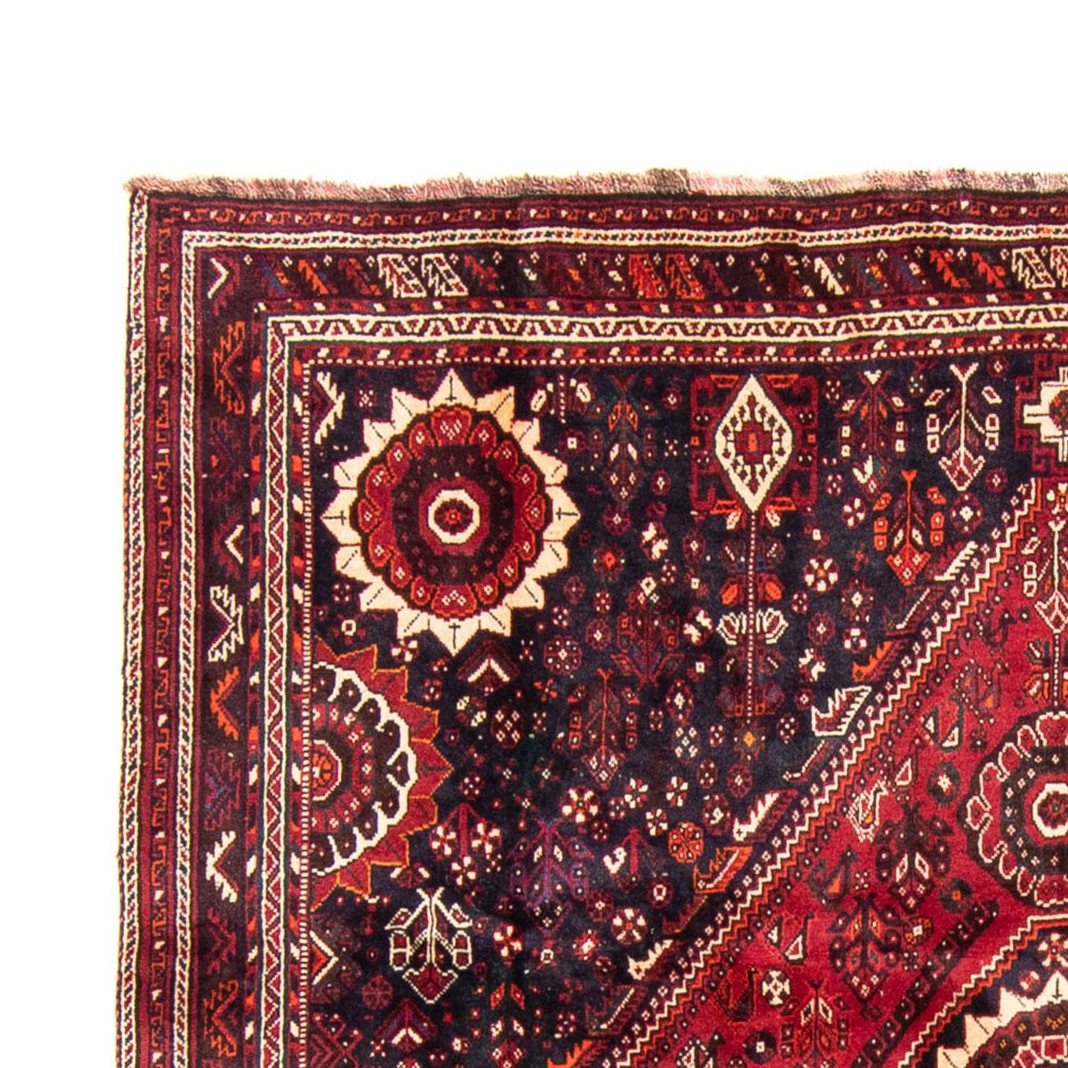 Shiraz Rug 230x315cm - Persian Rugs