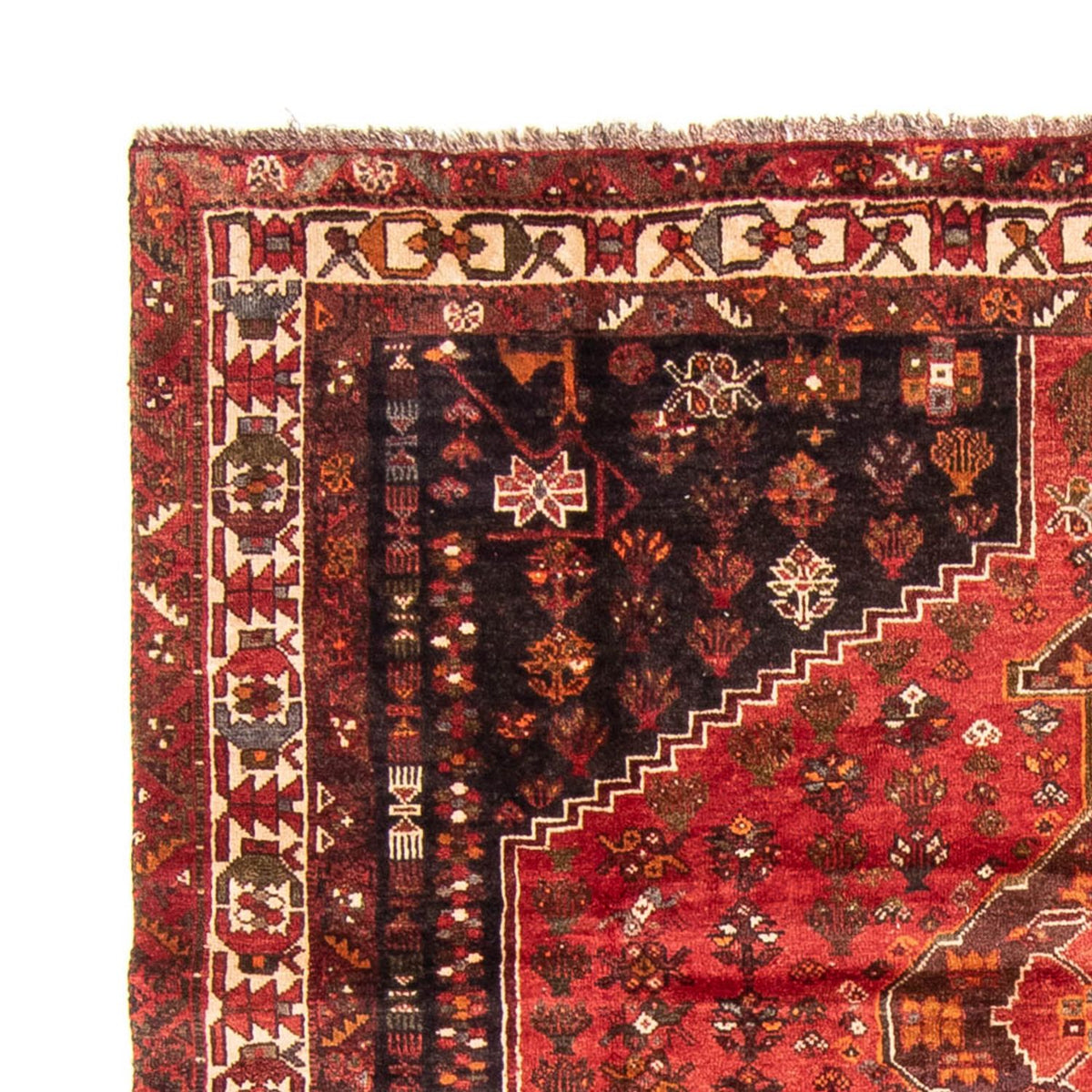 Perser Rug - Nomadic - 310 x 225 cm - dark red