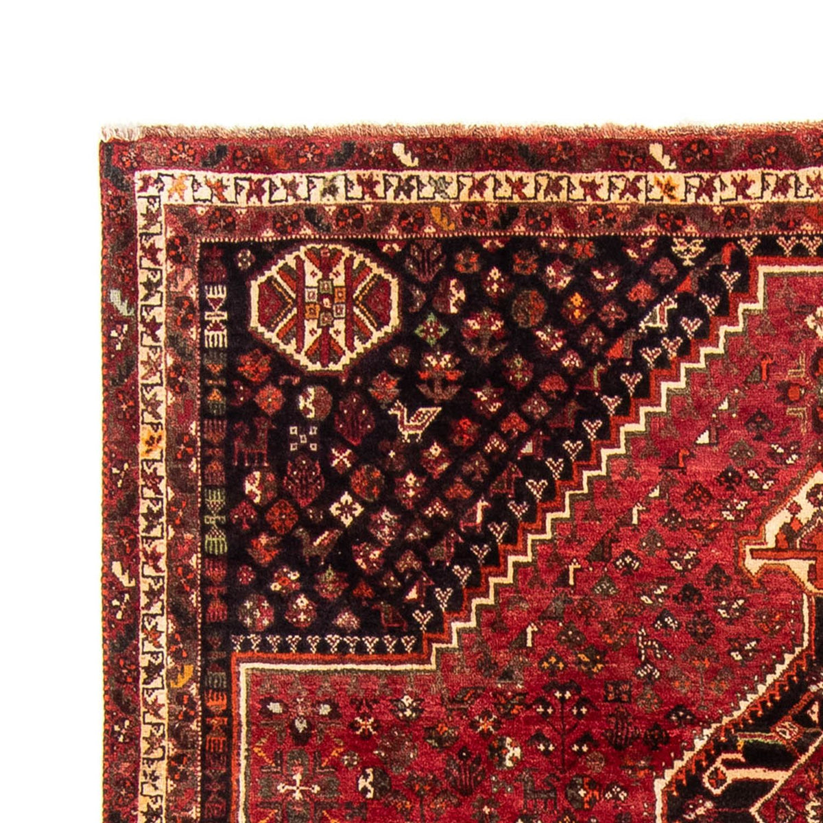 Perser Rug - Nomadic - 325 x 230 cm - dark red