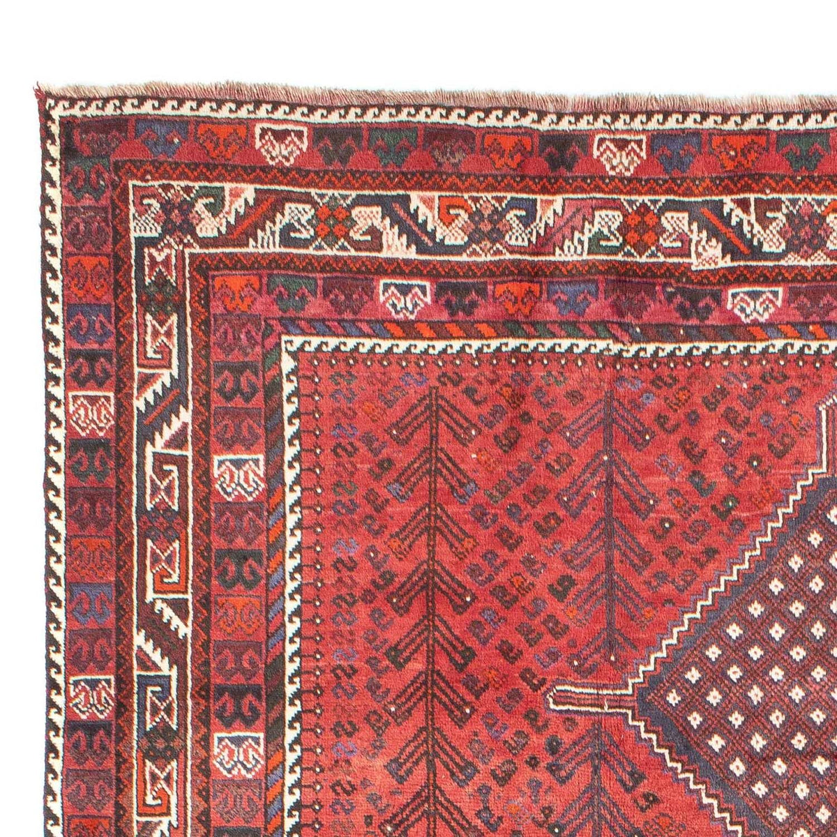 Shiraz Rug 215x310cm - Persian Rugs