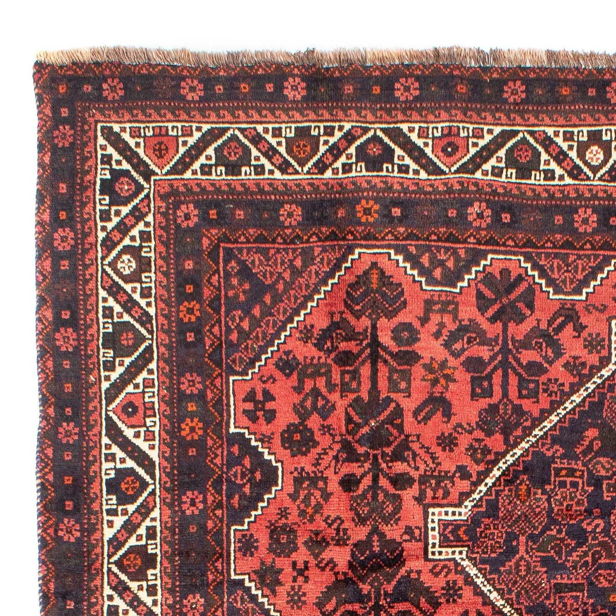 Shiraz Rug 207x300cm - Persian Rugs