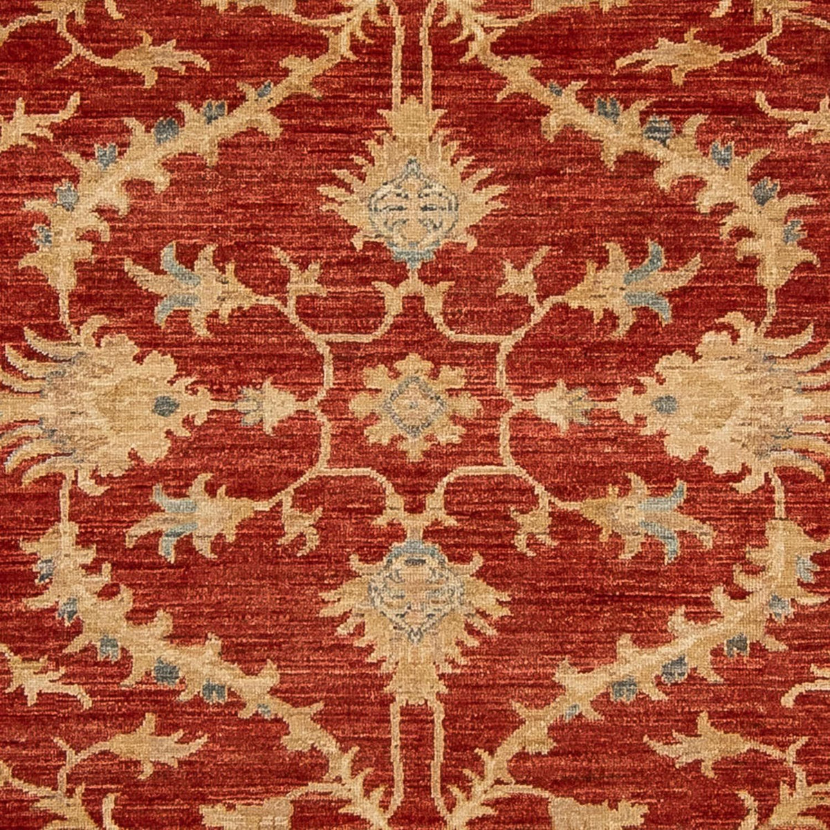 Ziegler Rug - 285 x 203 cm - dark red