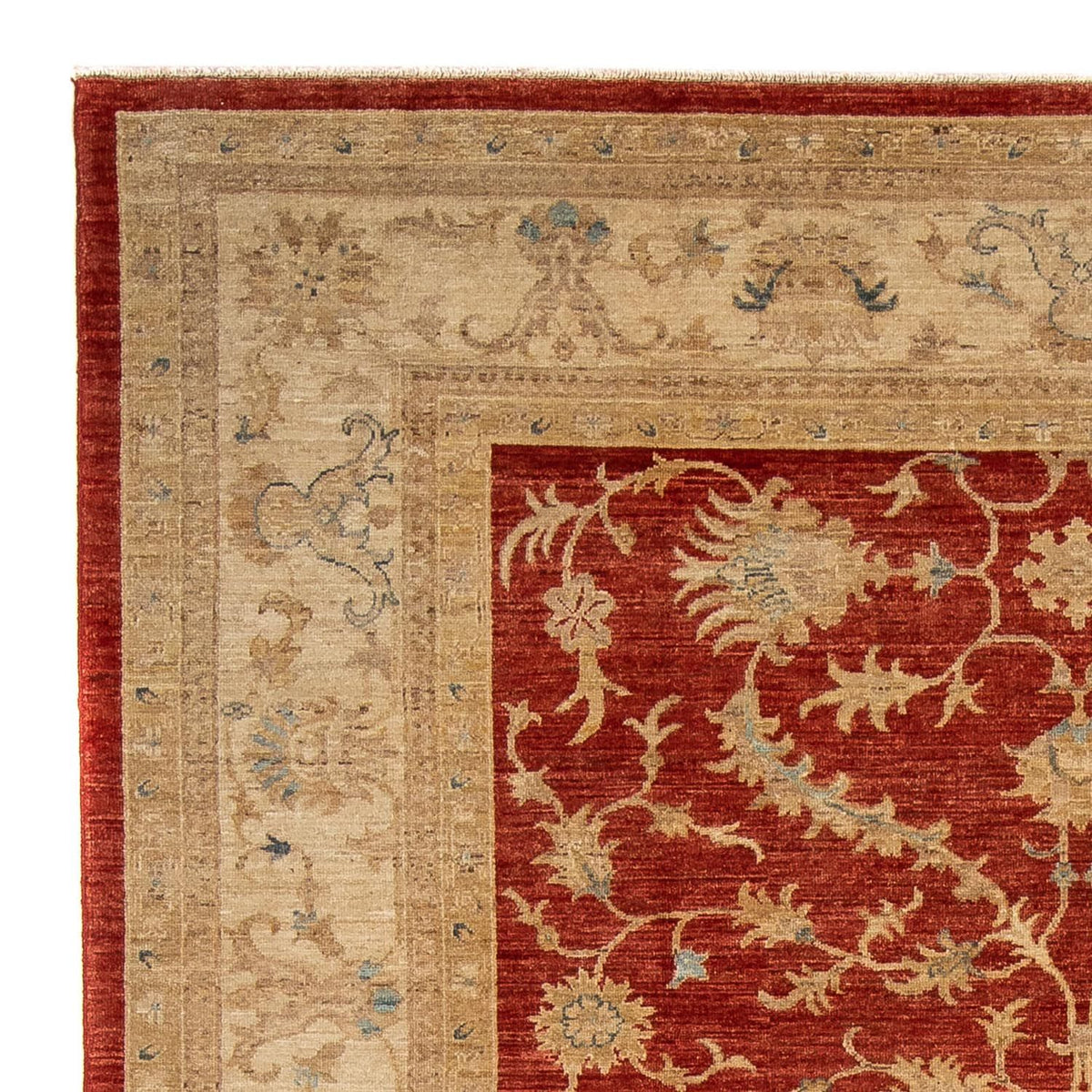 Ziegler Rug - 285 x 203 cm - dark red