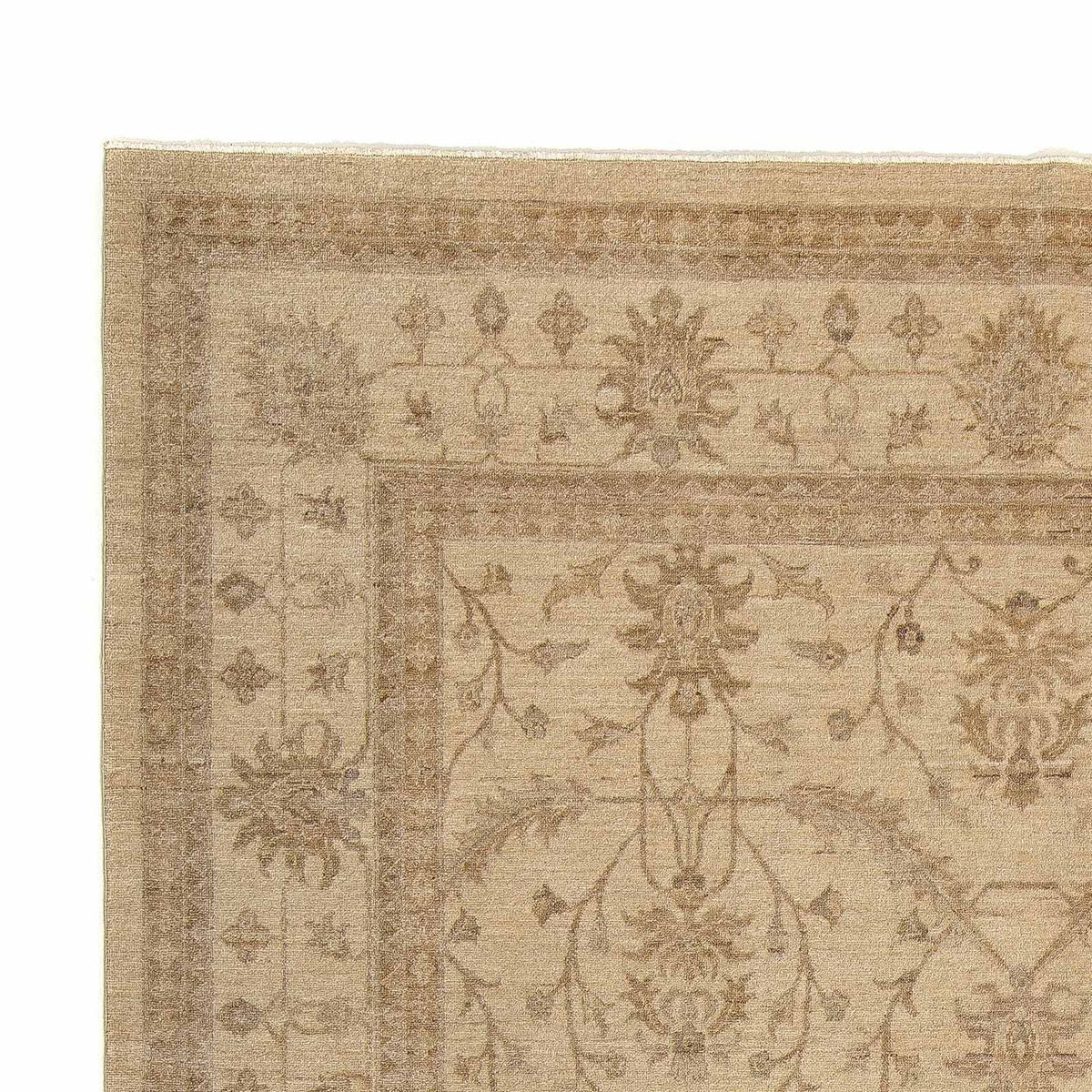 Ziegler Rug - 303 x 245 cm - beige