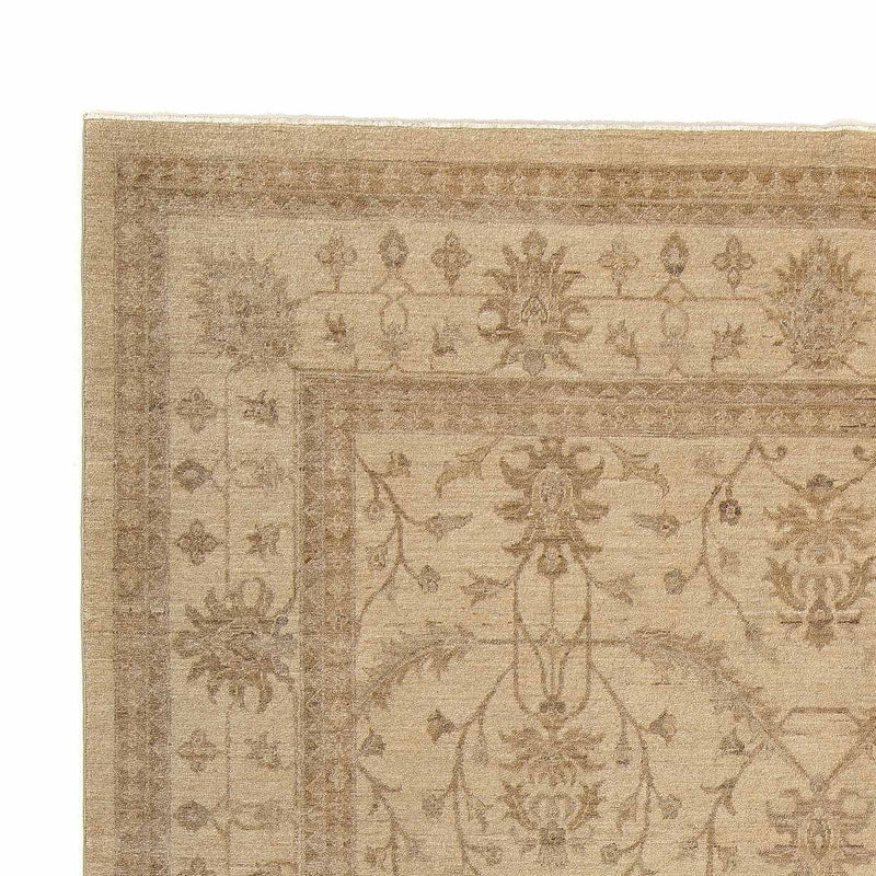 Ziegler Rug - 303 x 245 cm - beige