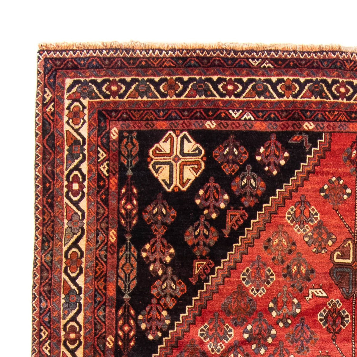 Shiraz Rug 235x323cm - Persian Rugs