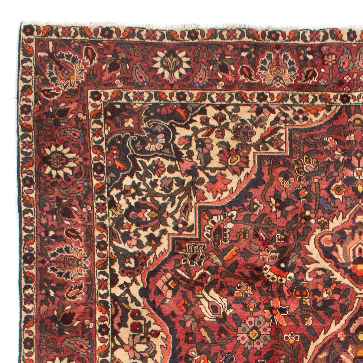 Bakhtiari Rug 209x302cm - Persian Rugs
