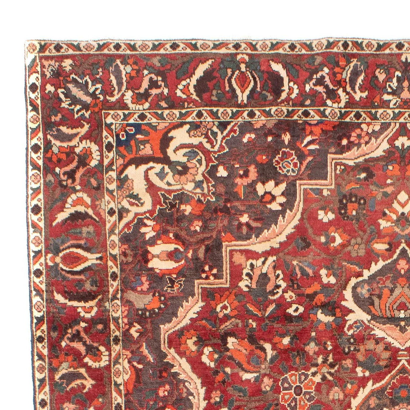 Bakhtiari Rug 294x205cm - Persian Rugs
