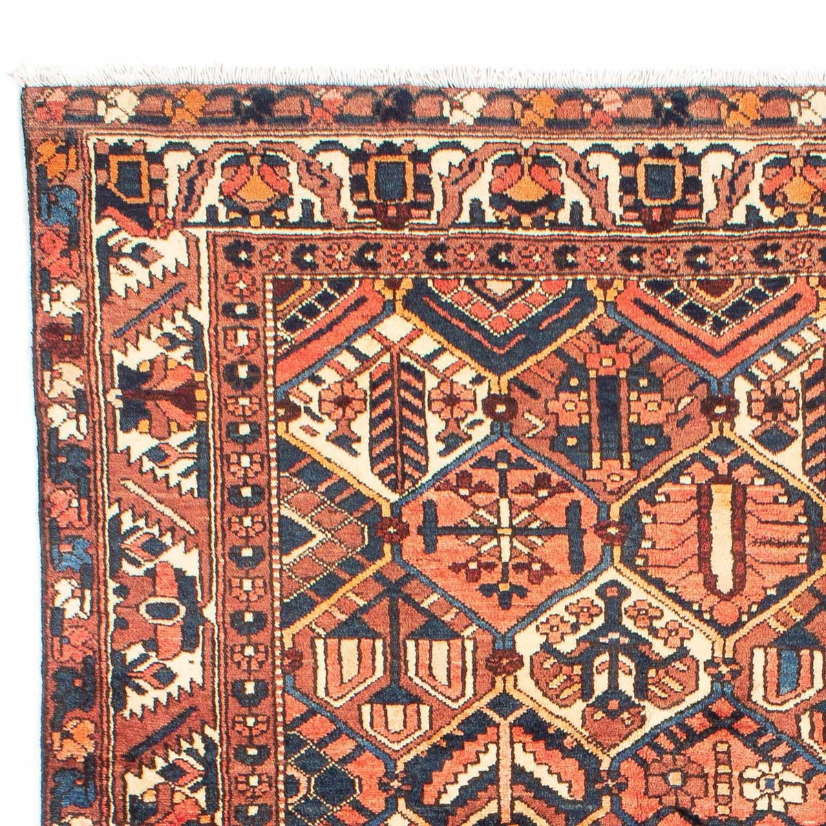 Bakhtiari Rug 209x313cm - Persian Rugs