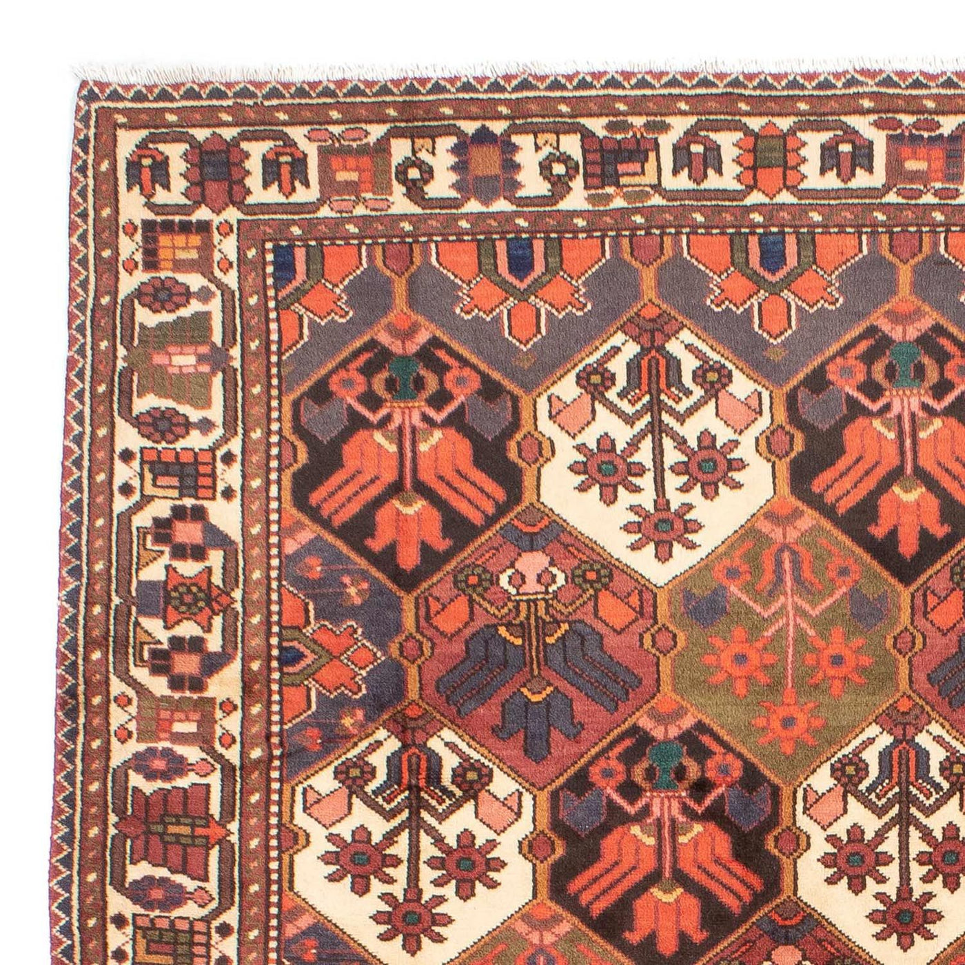 Bakhtiari Rug 287x207cm - Persian Rugs