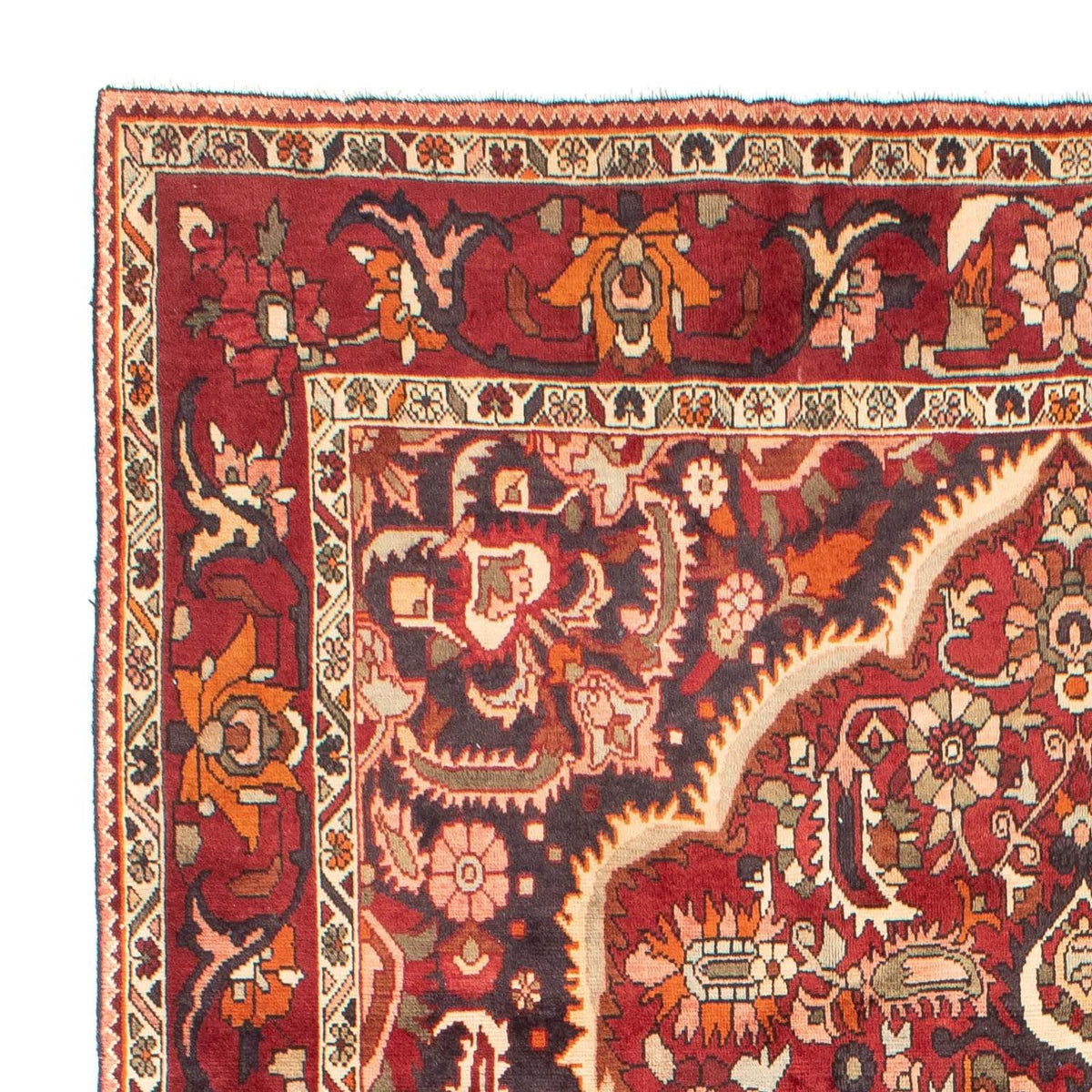 Bakhtiari Rug 216x302cm - Persian Rugs