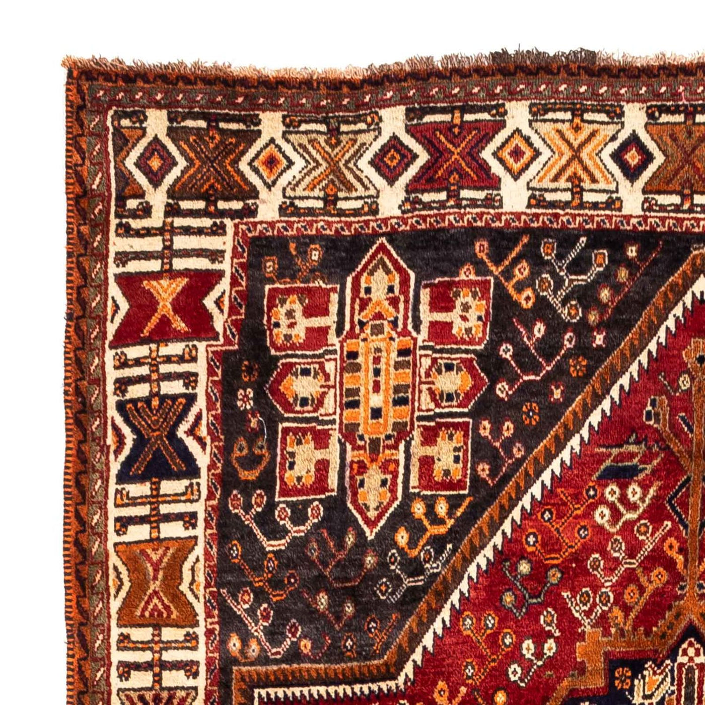 Shiraz Rug 257x160cm - Persian Rugs