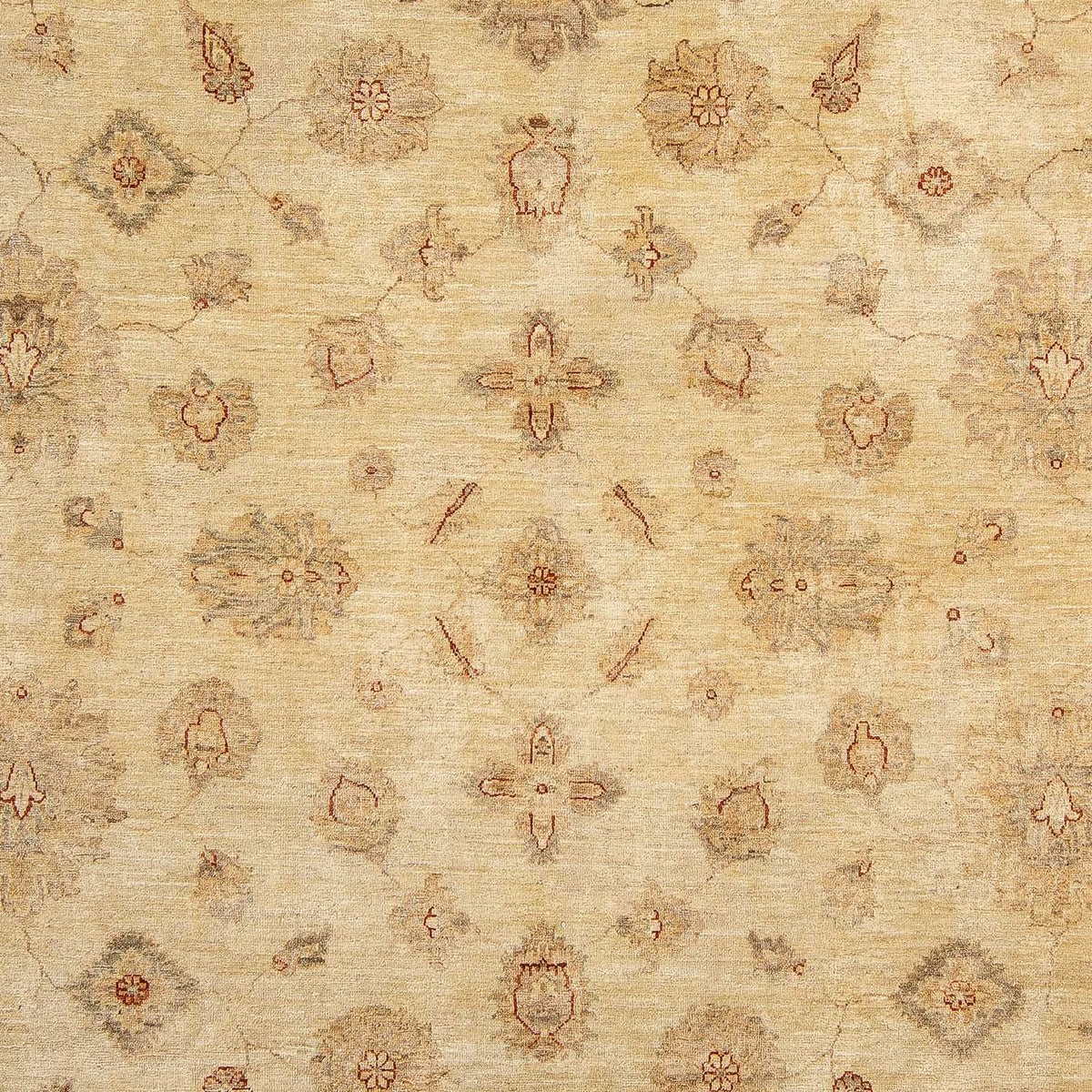 Ziegler Rug - 303 x 246 cm - light brown